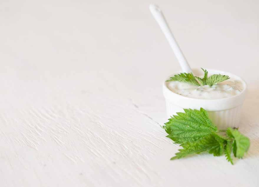 Yogurt:  A Healthy Food Popular on the Silk Roads