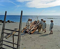 Traditional Use of Seaweed in Agriculture in Mainland Portugal